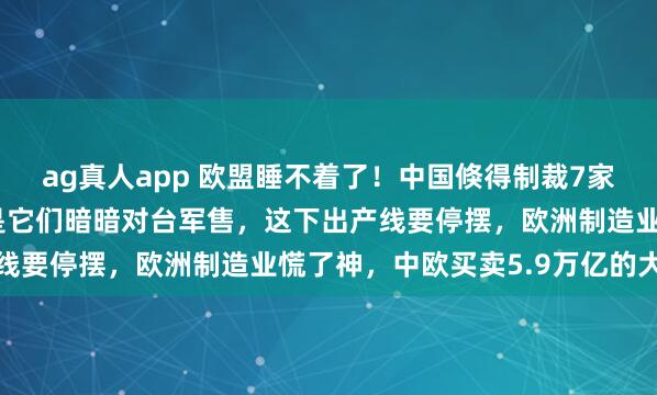 ag真人app 欧盟睡不着了！中国倏得制裁7家欧洲军工企业，原因竟是它们暗暗对台军售，这下出产线要停摆，欧洲制造业慌了神，中欧买卖5.9万亿的大生
