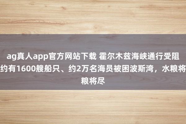 ag真人app官方网站下载 霍尔木兹海峡通行受阻，约有1600艘船只、约2万名海员被困波斯湾，水粮将尽