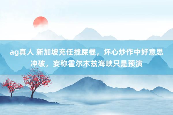 ag真人 新加坡充任搅屎棍，坏心炒作中好意思冲破，妄称霍尔木兹海峡只是预演
