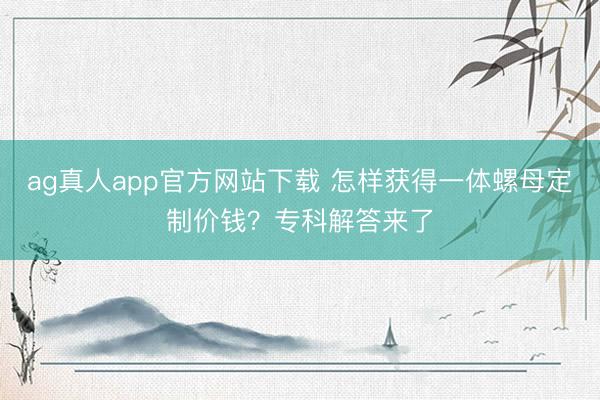 ag真人app官方网站下载 怎样获得一体螺母定制价钱？专科解答来了