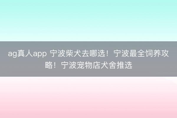 ag真人app 宁波柴犬去哪选！宁波最全饲养攻略！宁波宠物店犬舍推选