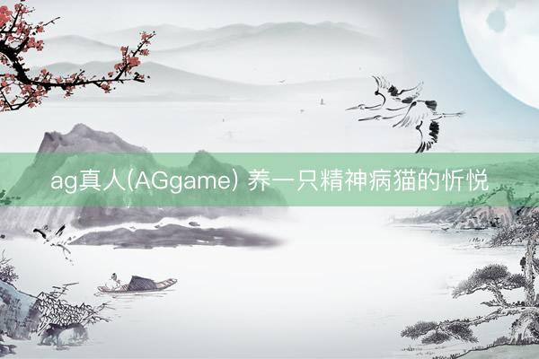 ag真人(AGgame) 养一只精神病猫的忻悦